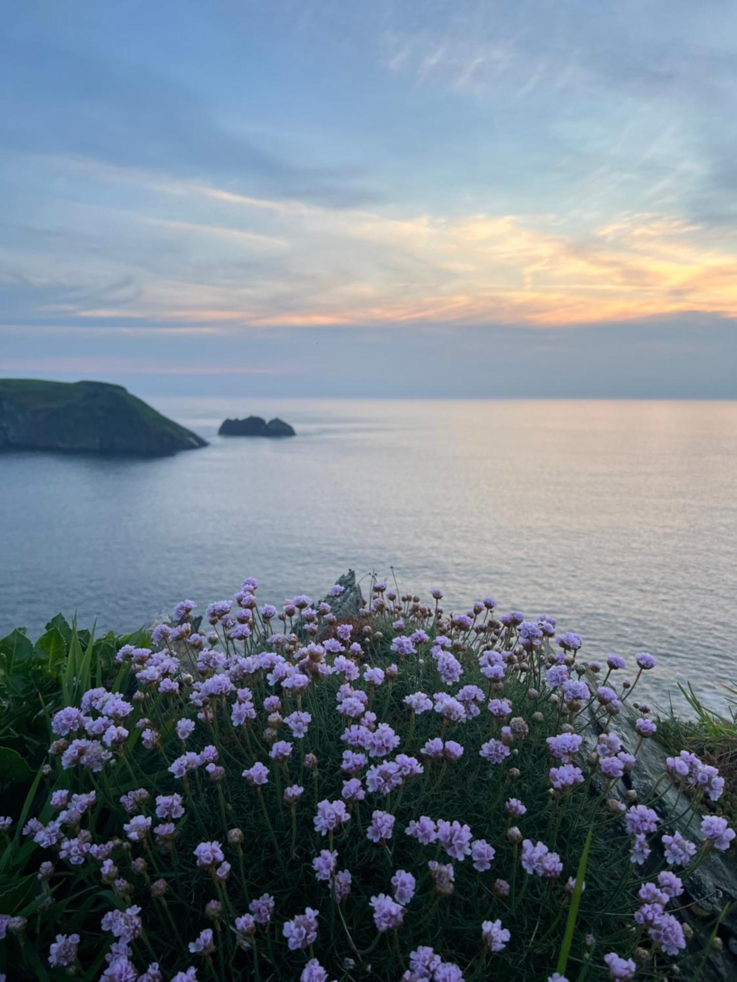 Pine Cottage Boscastle Esterno foto
