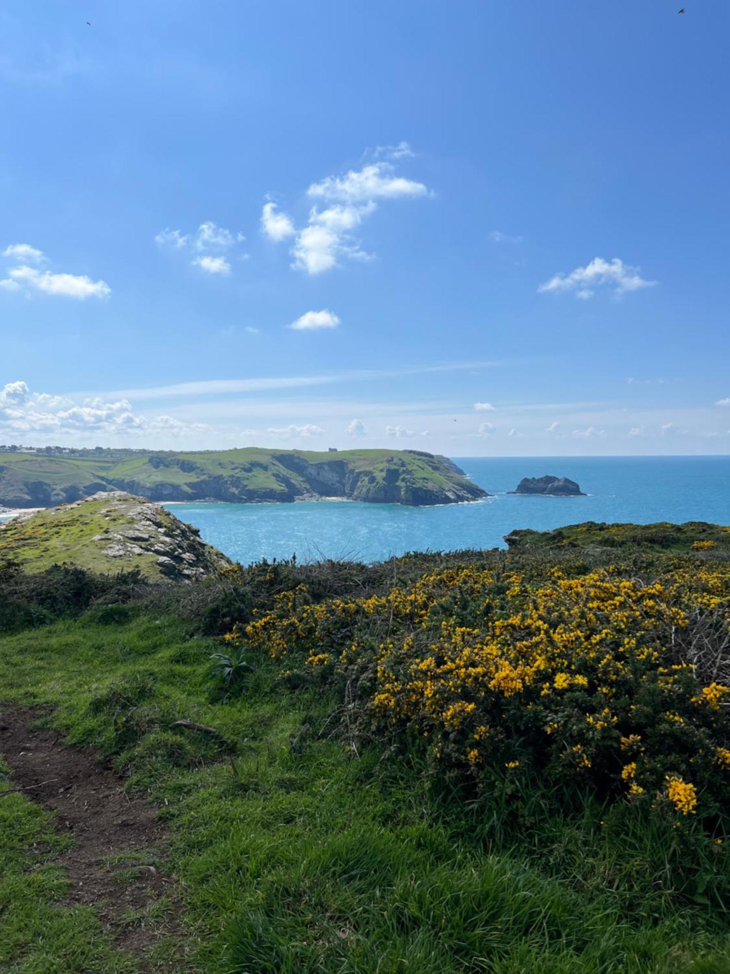 Pine Cottage Boscastle Esterno foto