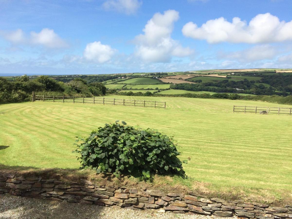 Pine Cottage Boscastle Esterno foto